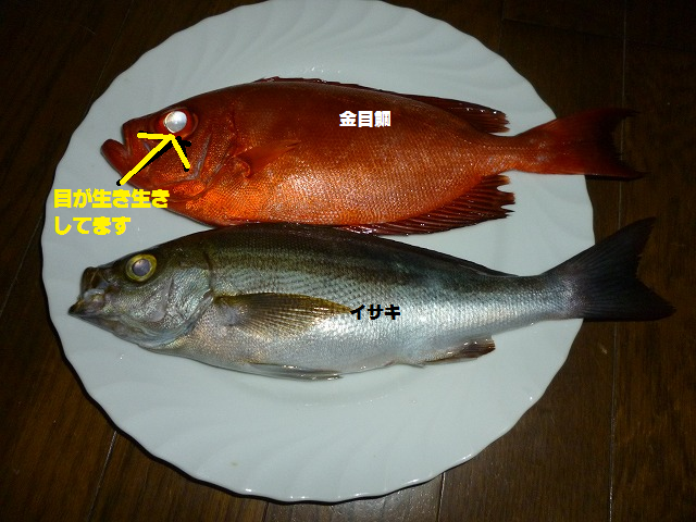 e0255638_1455953.png