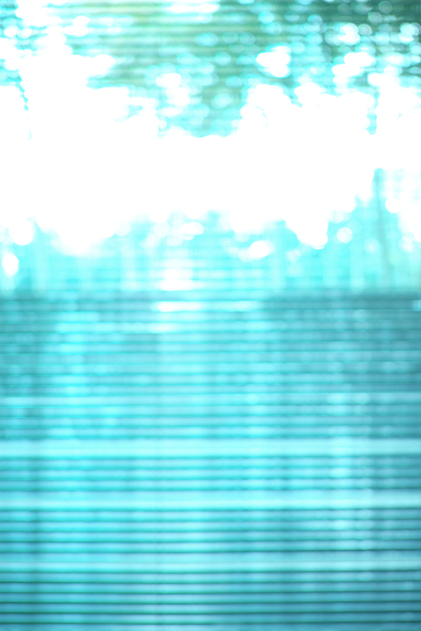 a0049639_17204323.jpg