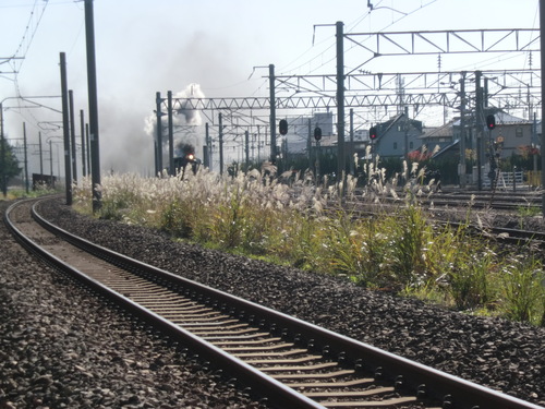 a0159039_1341988.jpg
