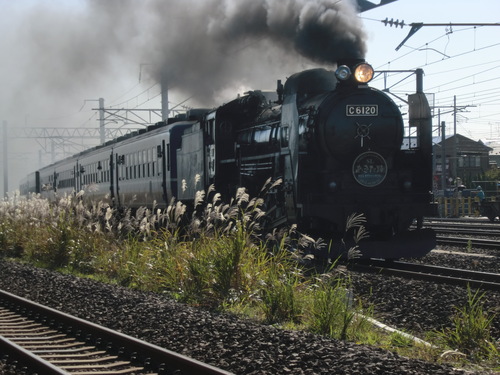 a0159039_13493225.jpg
