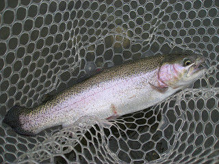 f0065341_10135772.jpg