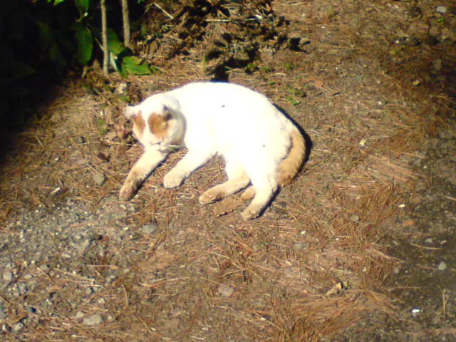c0104445_23111494.jpg