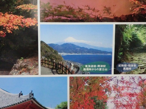 d0138650_20111195.jpg