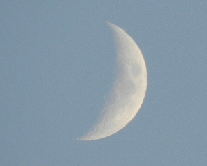 e0172950_22352368.jpg