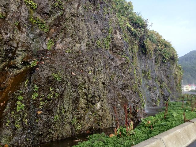 c0105957_012091.jpg