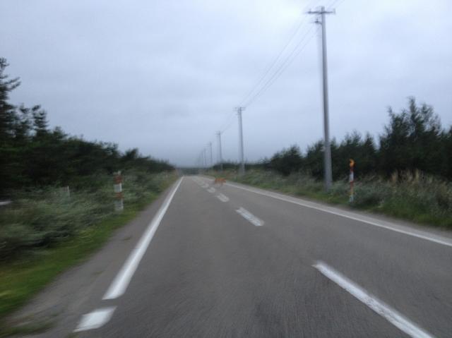 c0105957_22483340.jpg