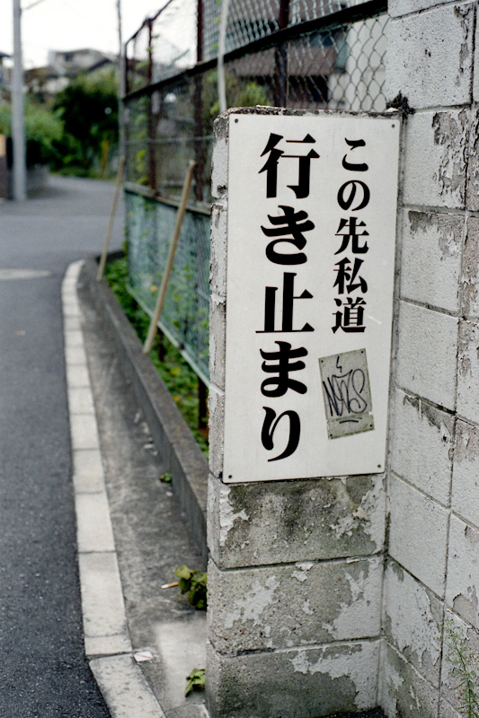 c0084666_027411.jpg