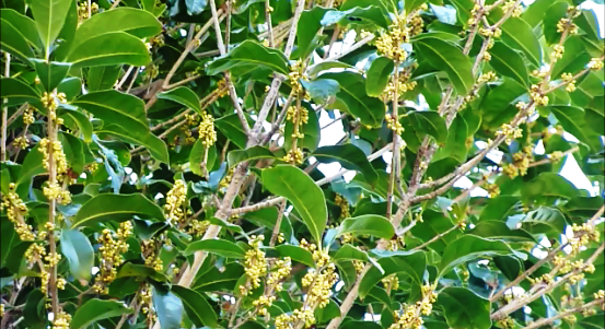 d0168567_11204263.png