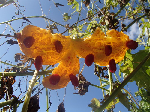 f0225473_20404153.jpg