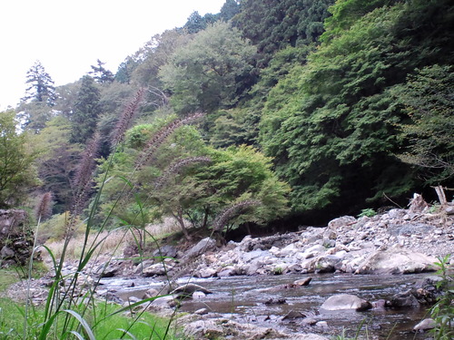 d0147774_10543335.jpg
