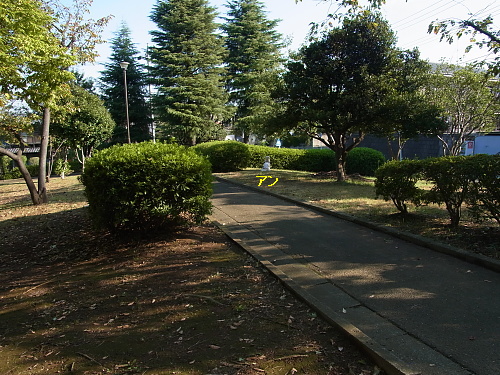 b0136381_22131874.jpg
