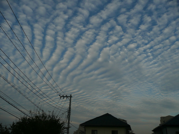 b0122485_145081.jpg