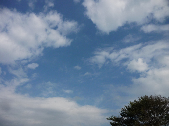 f0198186_1634303.jpg