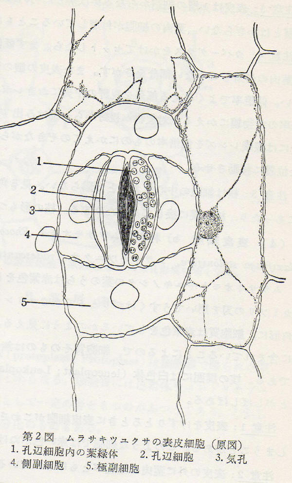 b0118987_6173546.jpg