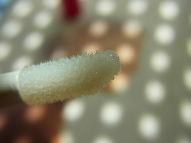 c0172698_117869.jpg