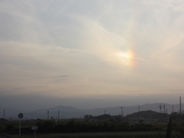 a0117599_0503986.jpg