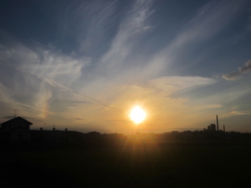 a0117599_0505928.jpg