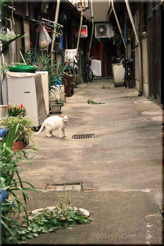 f0083400_144199.jpg