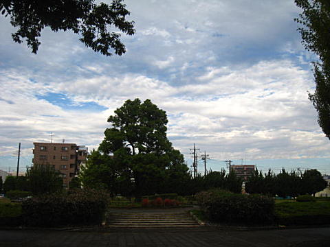 d0046702_72349.jpg