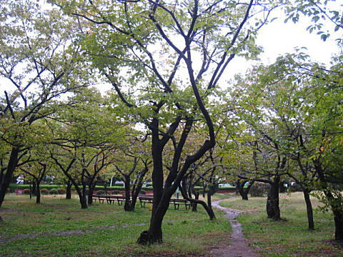 d0046702_724616.jpg