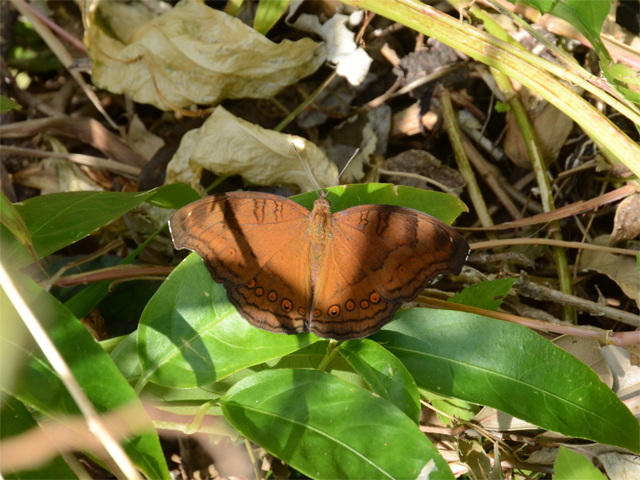 b0159904_052797.jpg