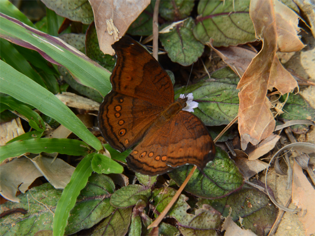 b0159904_054551.jpg