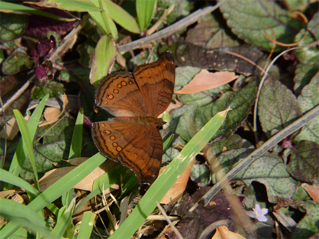b0159904_061085.jpg