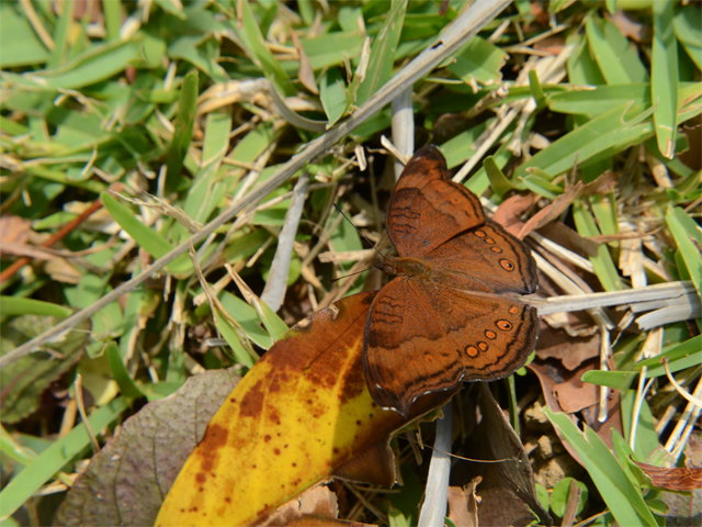 b0159904_061892.jpg