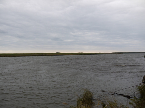 b0110205_1022575.jpg