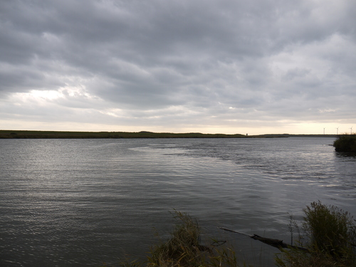 b0110205_1051568.jpg