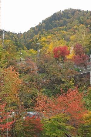 c0202705_21244938.jpg