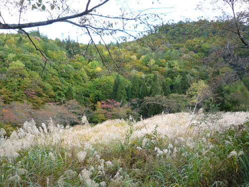 a0214206_1137512.jpg