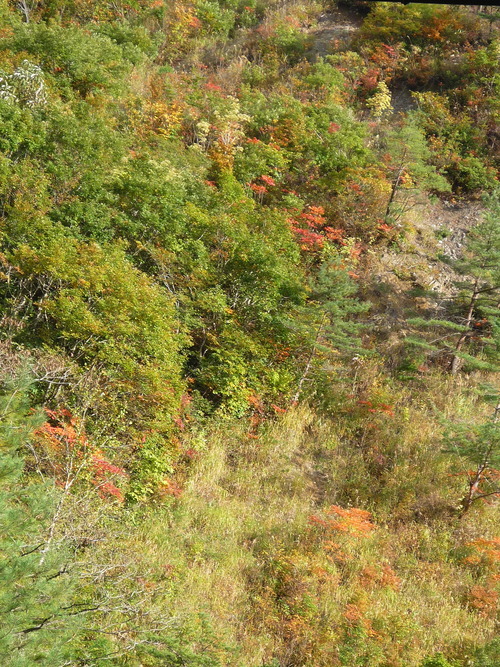 a0214206_11415611.jpg