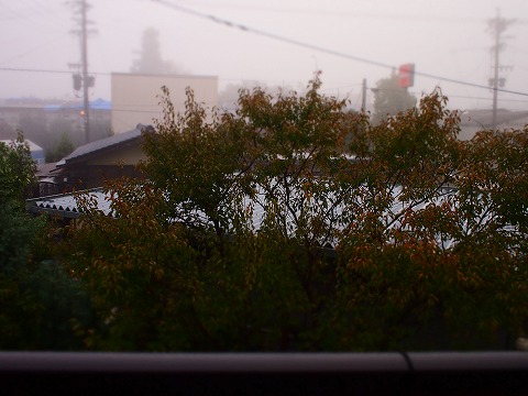 c0117007_20273835.jpg