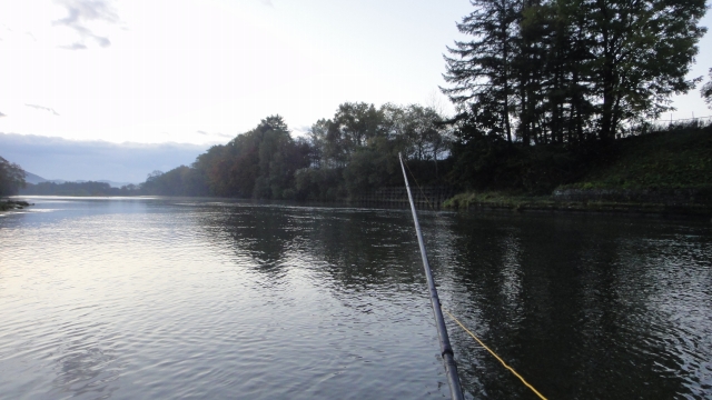 d0051707_19214710.jpg