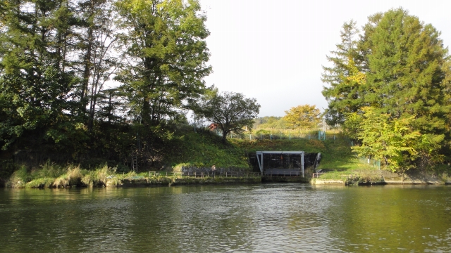 d0051707_21333723.jpg