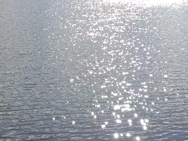 b0207514_18351562.jpg