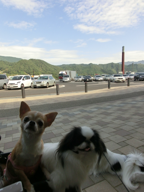 c0200916_035739.jpg