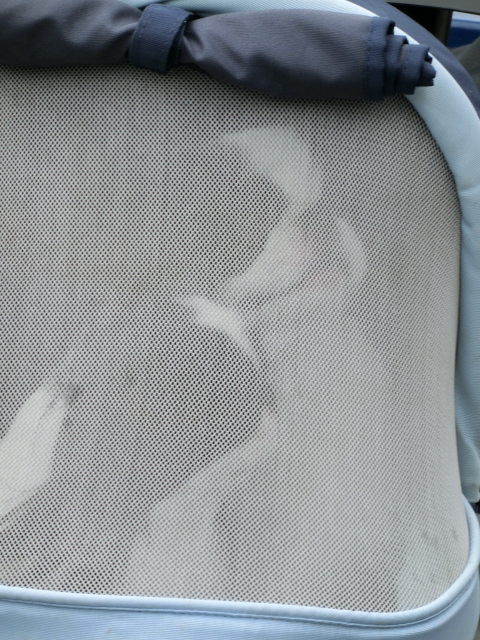 c0200916_057142.jpg