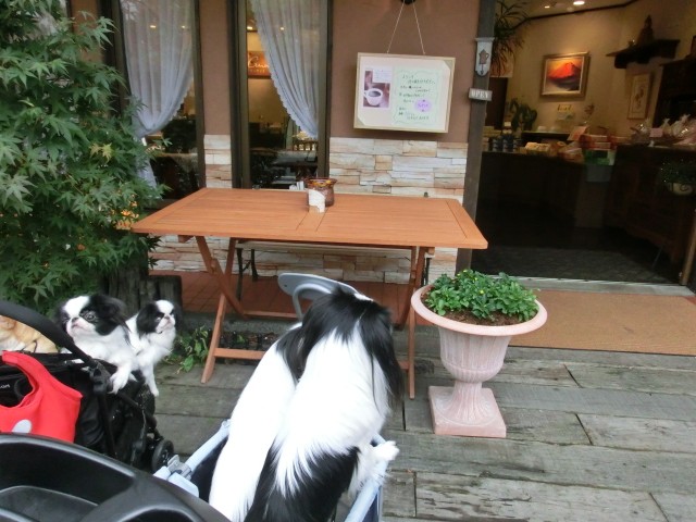 c0200916_114927.jpg