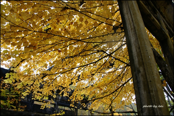 f0213818_20524046.jpg