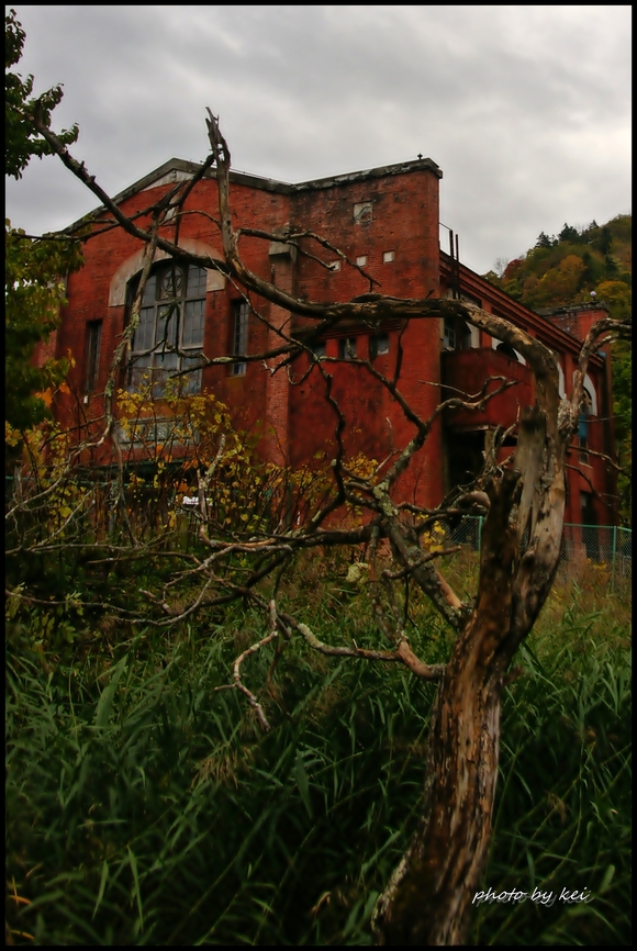 f0213818_2055506.jpg