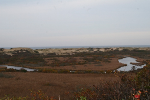 a0097322_11494540.jpg