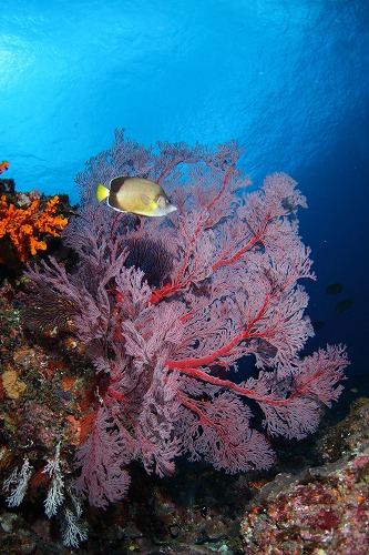 f0206424_820514.jpg