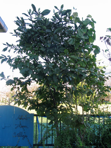 f0129726_2250244.jpg