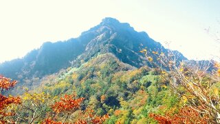 a0126128_20325841.jpg