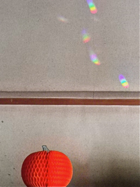 b0027736_1944789.jpg