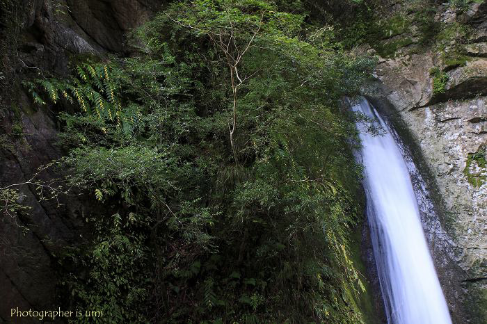 e0083238_21535277.jpg