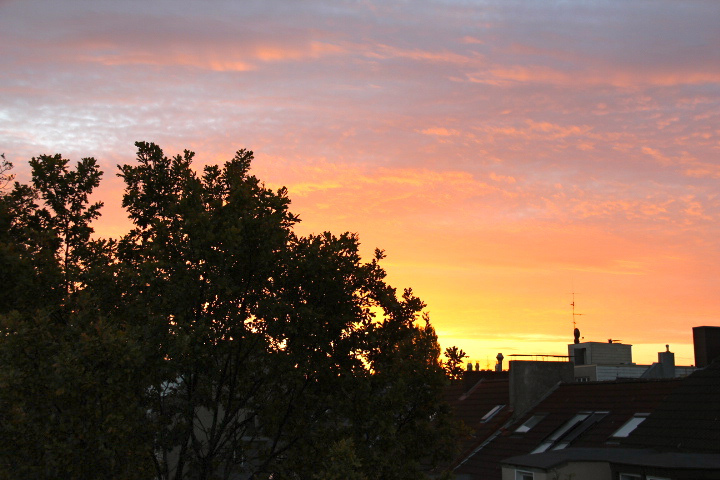 c0153740_1851830.jpg