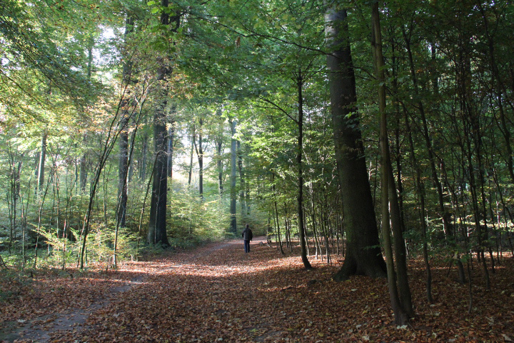 c0153740_186167.jpg
